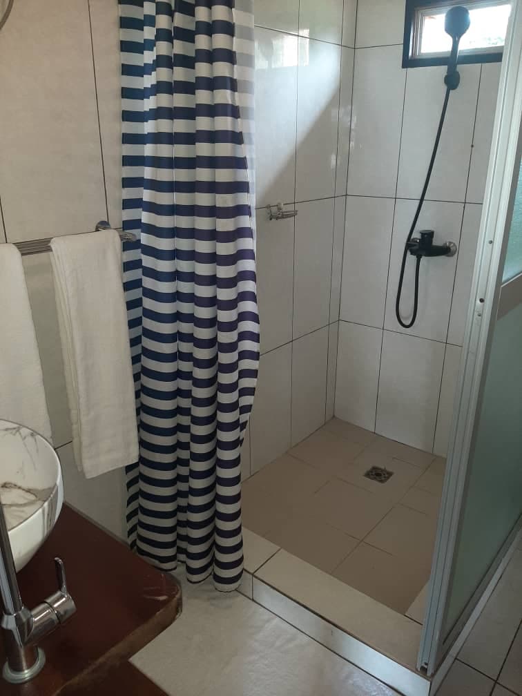 Bathroom with patterned shower curtain